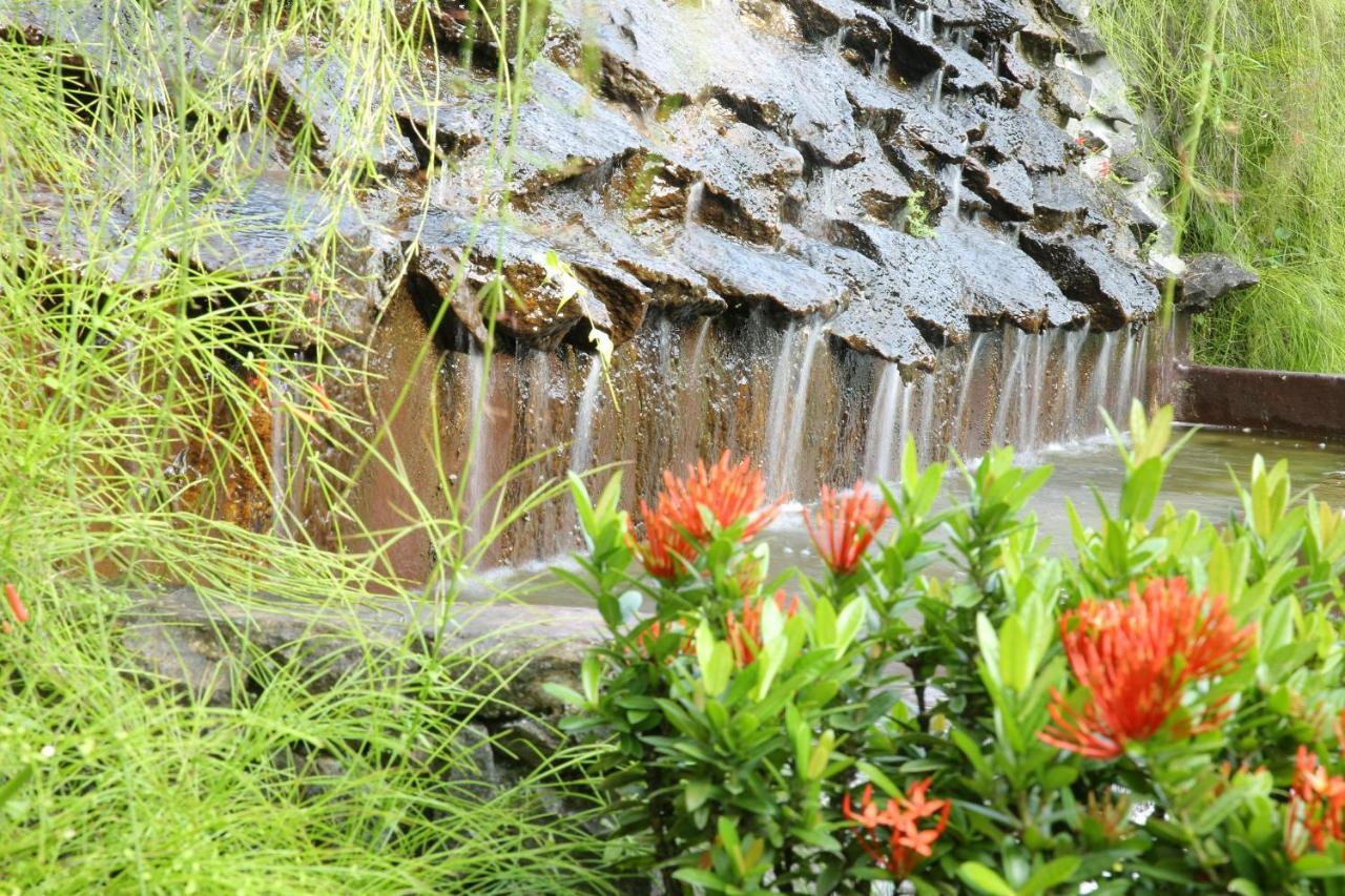 Ayurveda Centrum Lawrence Hill Paradise Хіккадува Екстер'єр фото