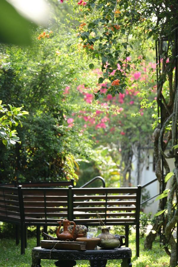 Ayurveda Centrum Lawrence Hill Paradise Хіккадува Екстер'єр фото